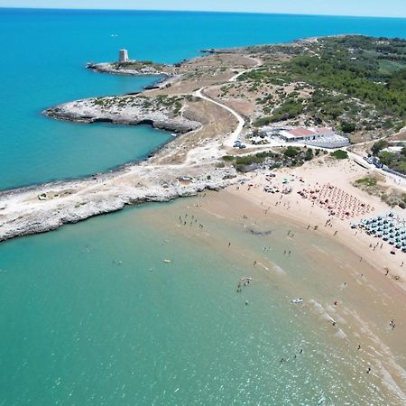 Villaggio Turistico Scialmarino Βιέστε Εξωτερικό φωτογραφία