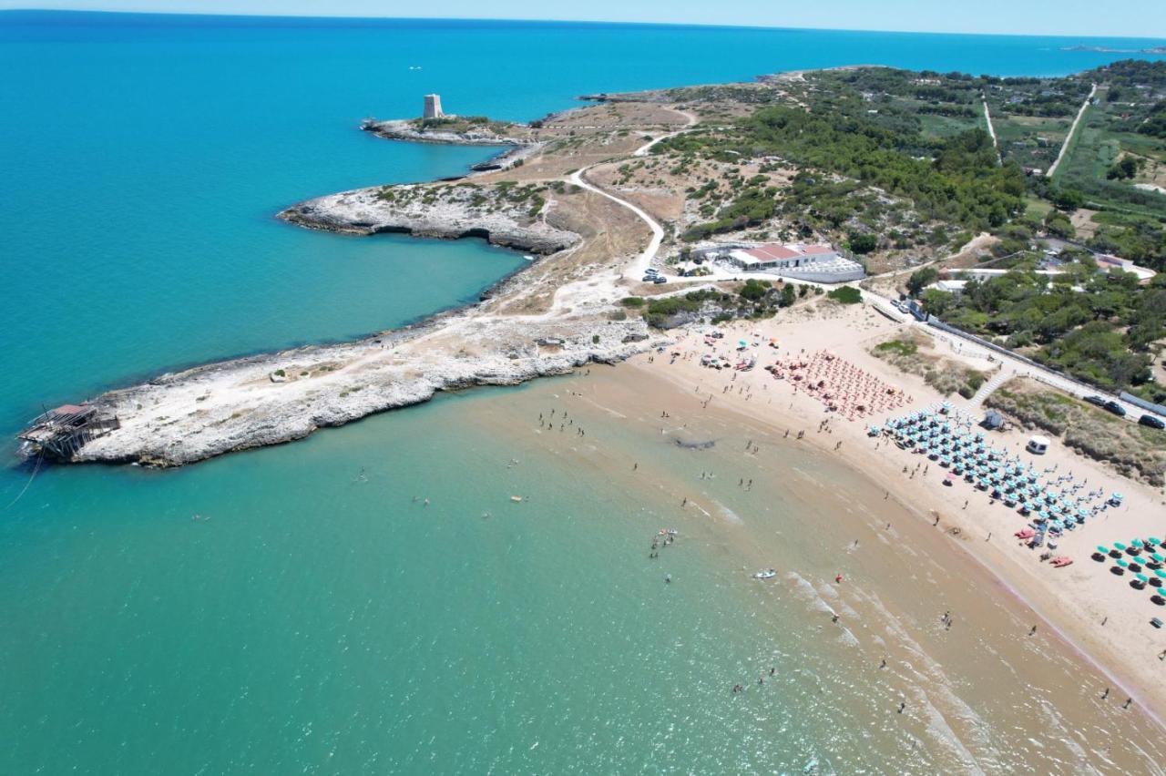 Villaggio Turistico Scialmarino Βιέστε Εξωτερικό φωτογραφία