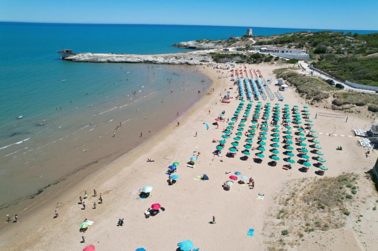 Villaggio Turistico Scialmarino Βιέστε Εξωτερικό φωτογραφία