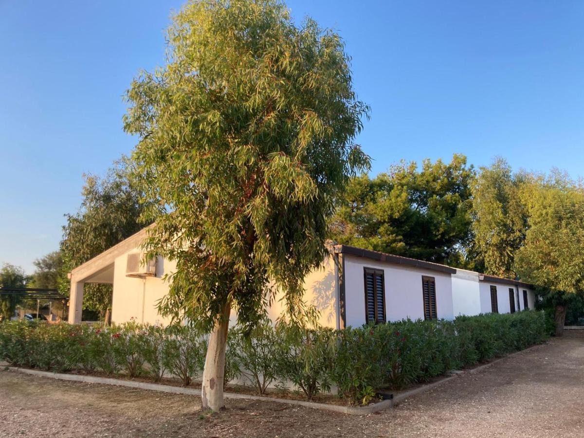 Villaggio Turistico Scialmarino Βιέστε Εξωτερικό φωτογραφία
