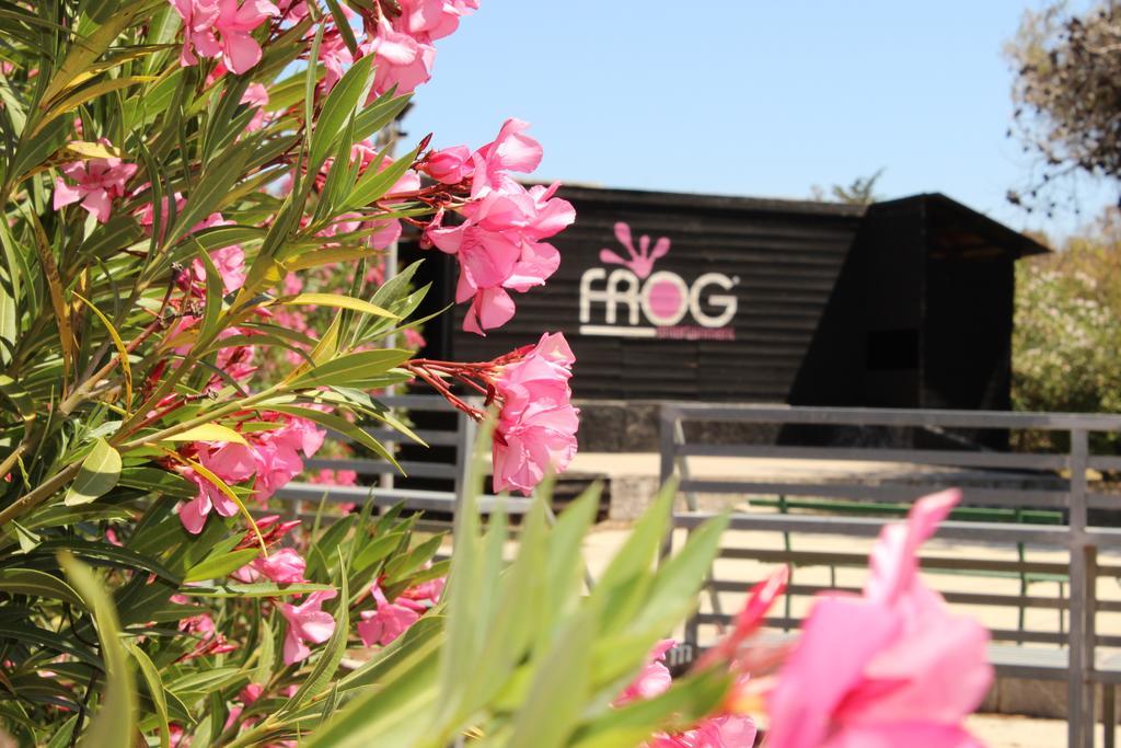 Villaggio Turistico Scialmarino Βιέστε Εξωτερικό φωτογραφία