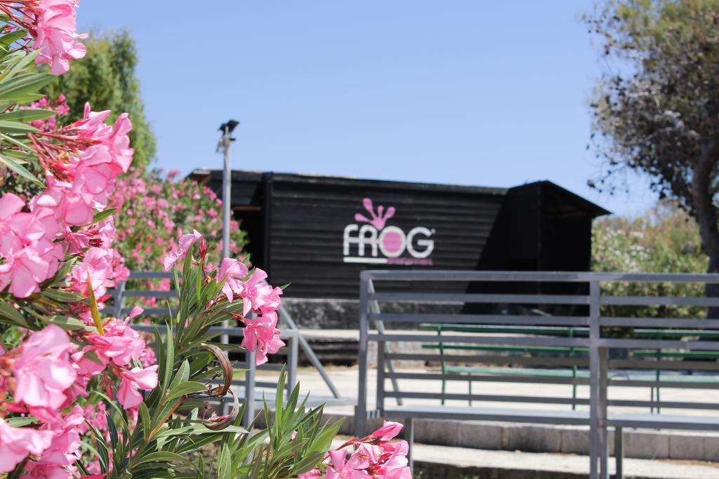 Villaggio Turistico Scialmarino Βιέστε Εξωτερικό φωτογραφία